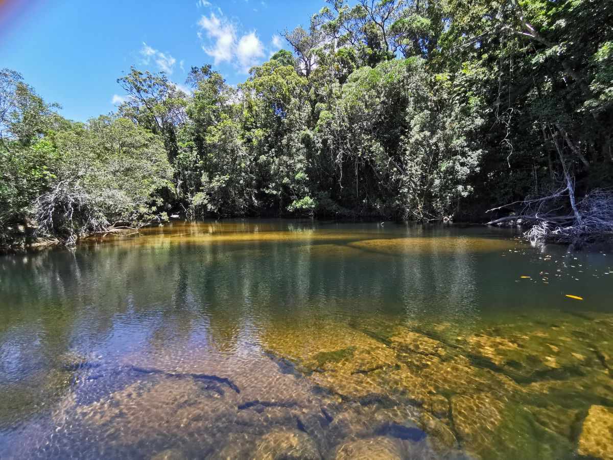 CREB Yindilli Meg River Serenity - Explore Cape York