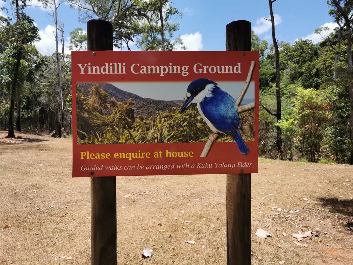 CRED Yindilli Campground - Explore Cape York