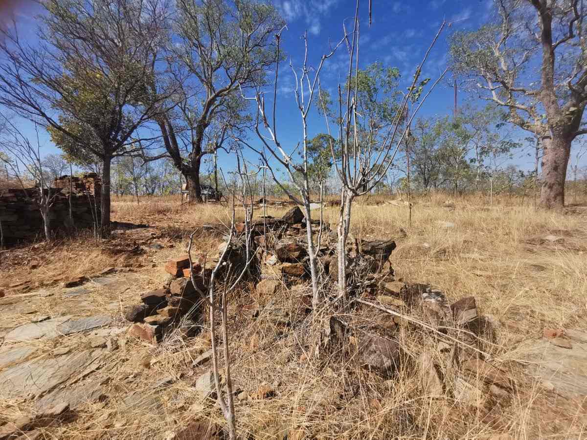 Maytown Stone Building Remains - Explore Cape York