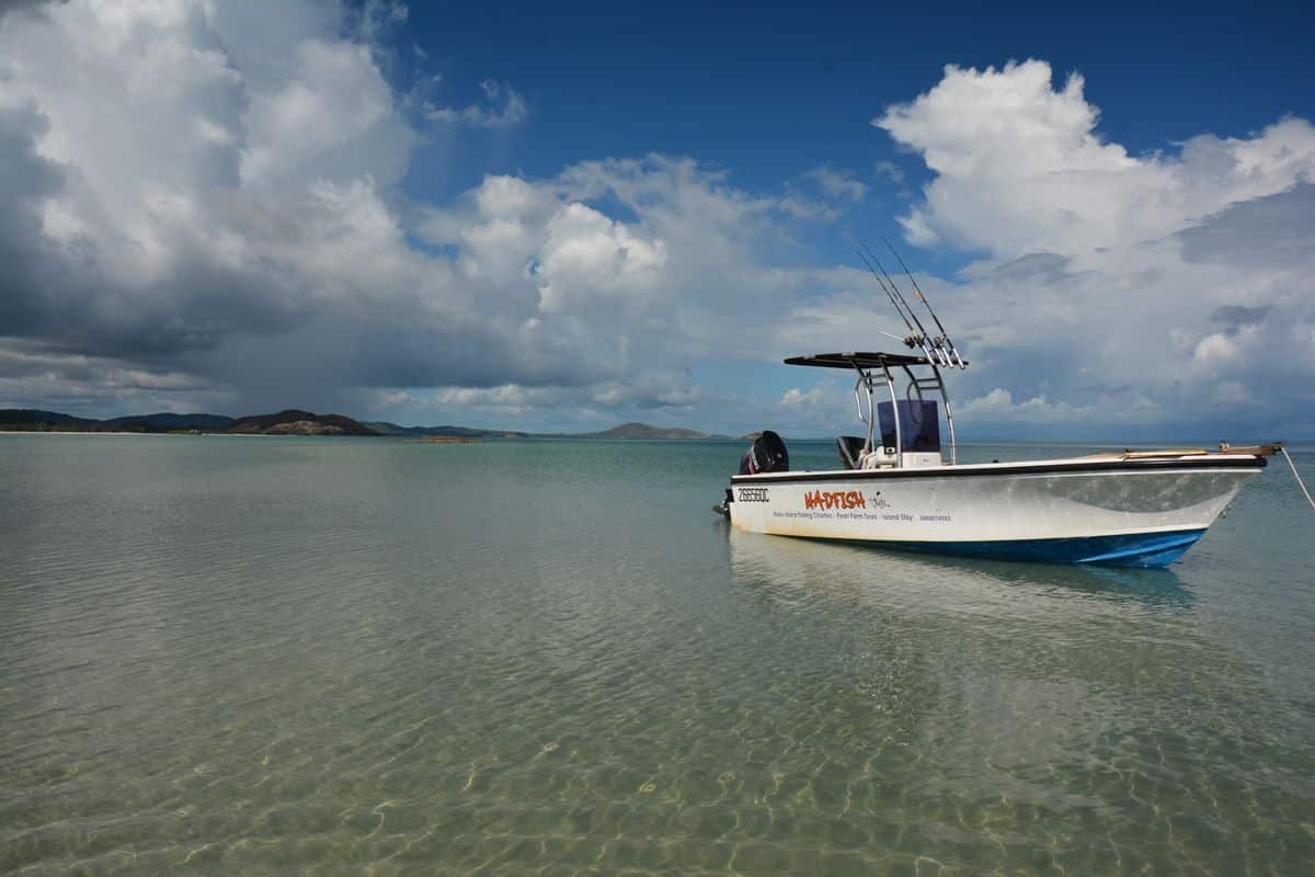 Roko Island Boat In Water - Explore Cape York