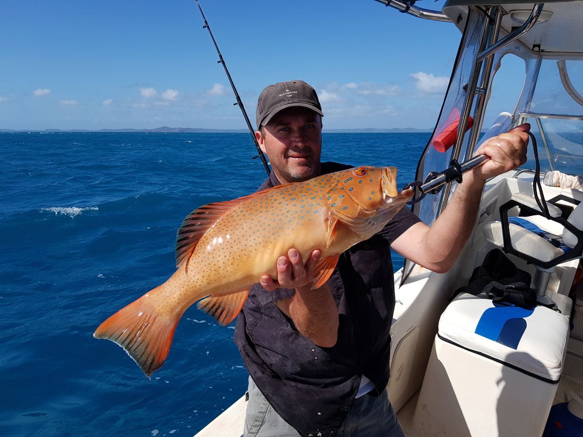 Roko Island Fishing 2 - Explore Cape York