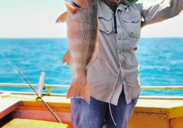 Weipa Region Fishing 1 - Explore Cape York